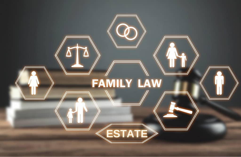 International practice for married and unmarried couples in all areas of family law - Expert answers to cross-border legal questions.